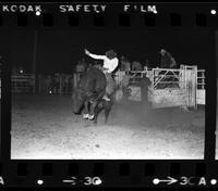 Pete Lagoria on Bull #36