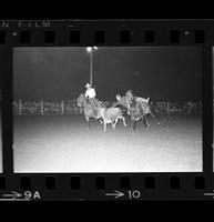 Jack Milhollen Steer wrestling