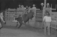 Don Crumpler on Bull #28