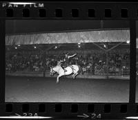 Jim Hill on Saddle bronc #39