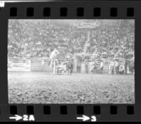 J.W. Smith Steer wrestling