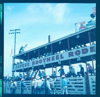 Unidentified Saddle bronc rider