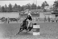 Debbie Underdown Barrel racing