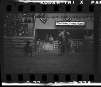 Barry Burk Calf roping