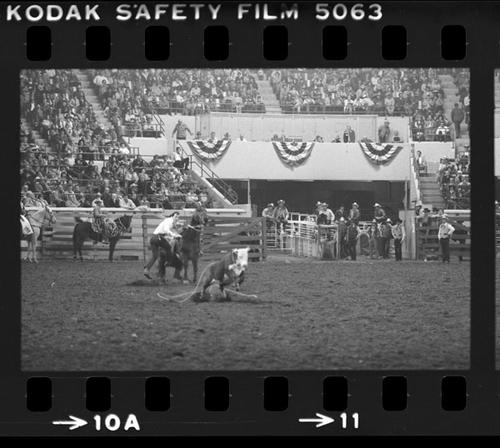 NFR, Oklahoma City, Roll V, 6th Perf.