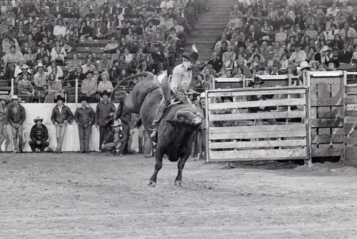 Kansas City, Roll G, 11-09 to 14-1976, 3rd Perf.