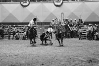 Ed Wright Steer wrestling