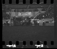 Leon Bauerle Steer wrestling