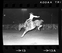 Tony Coleman on Saddle bronc #66