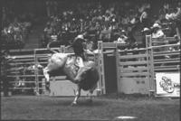 Jerry LaValley on Bull #0