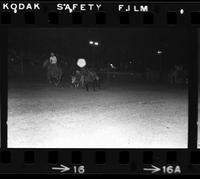 Ray Johnson Steer wrestling