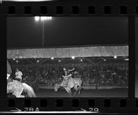 Rick Ashley on Saddle bronc #101