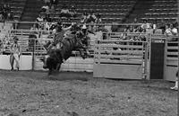 Gene Owen on Bull #-10