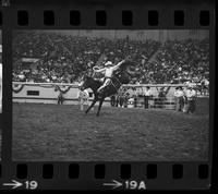 Chancy Wheeldon on unknown Saddle bronc