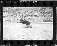 Duane Julian Calf roping