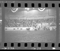 Bud Farris Calf roping