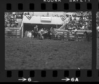 Leon Bauerle Steer wrestling