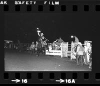 Jerri King on Saddle bronc #20