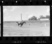 Unidentified Barrel racer