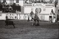 Chip Whitaker Calf roping