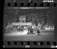 Tooter Waites Calf roping, 12.1 Sec