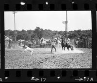 (possibly Floyd) Griffin Calf roping