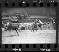 Jim Poteet Calf roping