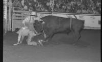 Joe Bill Moad on Bull #44