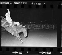 Unidentified Bareback rider