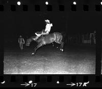 Wayne Hanson on Brown Jug