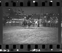 Jess Gatlin Steer wrestling