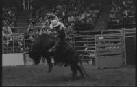 Cole Tindol on Bull #14