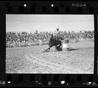 Stephanie Pitzer Barrel racing