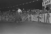 Monty Taylor on Bull #49