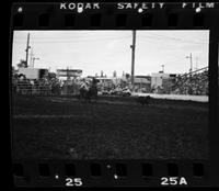 J.W. Farrington Calf roping