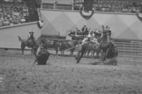 Harry Wilfong Calf roping