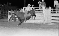 Tracy Brunner on Bull #215