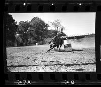 Unidentified Barrel racer