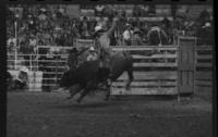 Benny Scarberry on Bull #167