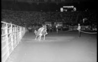 Unidentified Trick rider