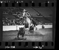 Dale Tubesing Calf roping