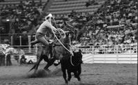 Arnold Hart Calf roping