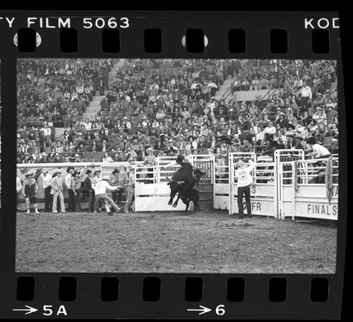 NFR, Oklahoma City, Roll D, 12-03 to 05-1977, 2nd Perf.
