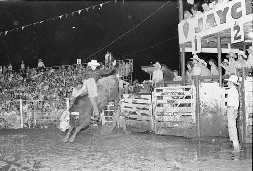 Sikeston, Roll F, 08-11 to 14-1977
