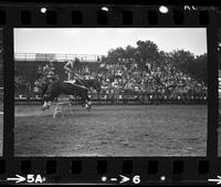 Neil Schmidt Roman riding