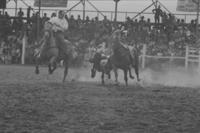 Ted Smalley Steer wrestling