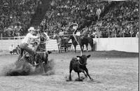 Jr. Lewis Calf roping