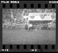 Danny Torricellas Steer wrestling