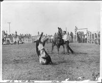 Buckshot Sorrells calf roping Yuma '48