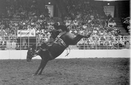 Wichita, Roll F, 10-16 to 19-1980